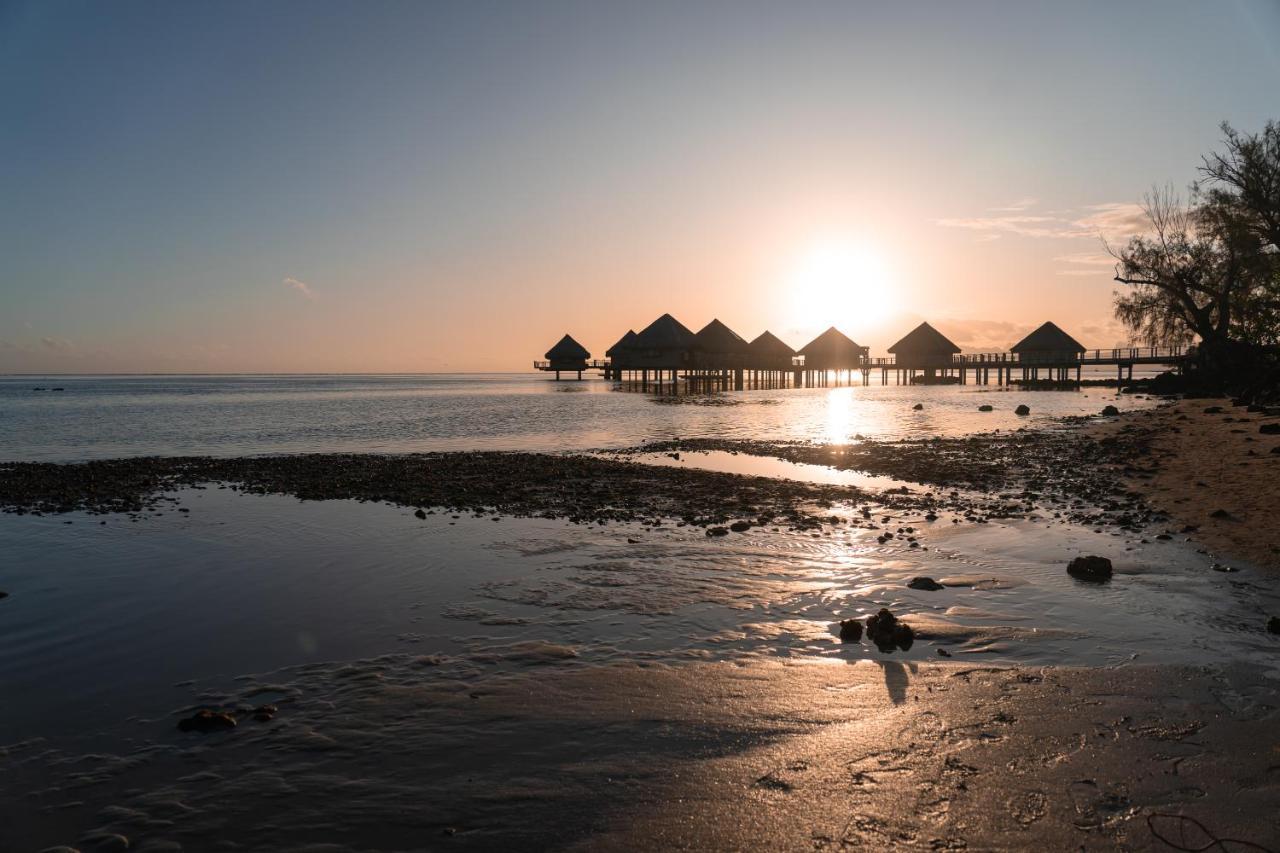 Punaauia  Le Charme Polynesien Proximite Plage Et Commerces מראה חיצוני תמונה